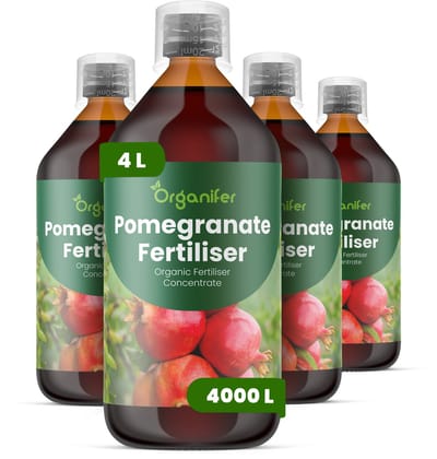 Vloeibare Meststof Voor Granaatappel 4X1 L Voor 4000 L - Npk 2-1-8 - Ondersteunt Krachtige Bloei En Betrouwbare Vruchtzetting - Verbetert Stevigheid - Kleur En Interne Kwaliteit Van De Vruchten - Verbetert De Vitaliteit En Productiviteit - Organifer