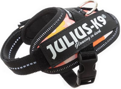 Julius-K9 IDC®Powertuig, 3XS - Baby1, roze met bloemen