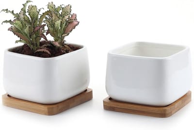 Famanu - 9,5CM Succulente Plantenpot Set van 2, Vierkant Keramiek Vetplant Bloempot met Bamboe Onderzetter, Binnen Klein Cactus Pot met Afvoergat Wit voor Sappige Aloë Kruid Decoratieve Geschenk