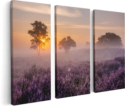 Artaza Canvas Schilderij Drieluik Weide in de Veluwe bij Zonsondergang - 120x80 - Foto Op Canvas - Canvas Print