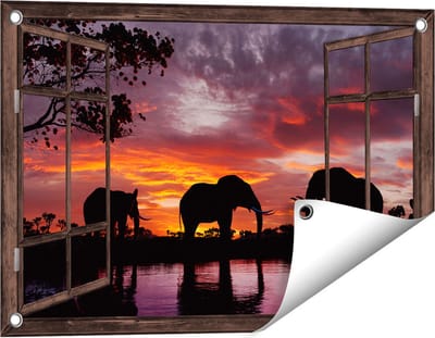Gards Tuinposter Doorkijk Olifanten tijdens Zonsondergang - Silhouet - 60x40 cm - Tuindoek - Tuindecoratie - Wanddecoratie buiten - Tuinschilderij