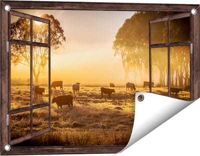 Gards Tuinposter Doorkijk Kudde Koeien in de Wei met Zonsopkomst - 60x40 cm - Tuindoek - Tuindecoratie - Wanddecoratie buiten - Tuinschilderij