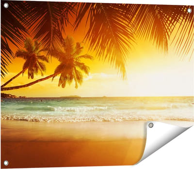 Gards Tuinposter Tropisch Strand tijdens Zonsondergang - 80x60 cm - Tuindoek - Tuindecoratie - Wanddecoratie buiten - Tuinschilderij