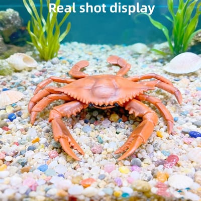 Simulation de Haute Qualité Haute Qualité de Haute Qualité Sous-marines Créatures de Haute Qualité, Crabe de Haute Qualité Jouets de Haute Qualité, Animal de Haute Qualité
