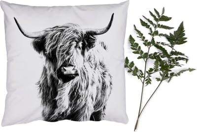Sierkussens - Kussentjes Woonkamer - 40x40 cm - Zwart - Wit - Schotse Hooglander - Dieren