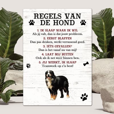 Spreuken - Berner Sennen - Regels Van De Hond - Spreuken Bordjes - Spreukenbord - Tekstborden - Cadeau - Hondenras