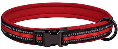Dailygoods- Halsband Reflecterend - Verstelbaar - Neopreen Gevoerd - Roestvrij Stalen Sluiting - Voor Kleine/Middelgrote/Grote Honden - Maat S (33-45cm) - Hondenhalsband
