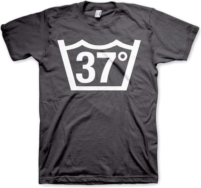 Hybris 37 Celcius Tee T-shirt donkergrijs