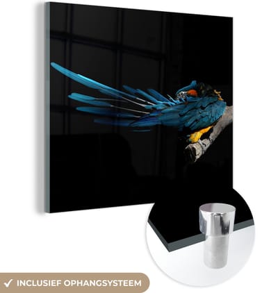 MuchoWow® Glasschilderij 50x50 cm - Schilderij acrylglas - Vogel - Veren - Tak - Zwart - Foto op glas - Schilderijen