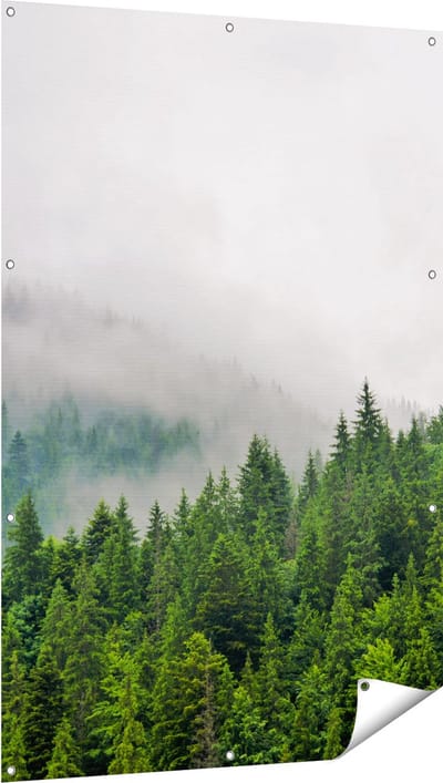 Gards Tuinposter Groen Bos met Bomen tijdens de Mist - 100x150 cm - Tuindoek - Tuindecoratie - Wanddecoratie buiten - Tuinschilderij