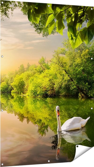 Gards Tuinposter Zwaan op het Water in het Bos - 100x150 cm - Tuindoek - Tuindecoratie - Wanddecoratie buiten - Tuinschilderij