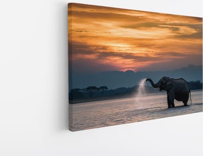 Saammp Canvas Schilderij - Olifanten in het water - Afrika - Dieren - 45x30 - Foto op canvas - Wanddecoratie - muurdecoratie Woonkamer - Slaapkamer decoratie - Canvas Print