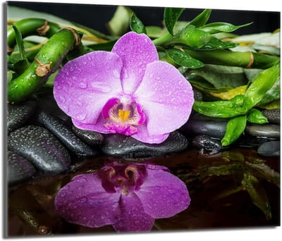 TMK ArtDeko - Beschermplaat van gehard glas - Inductie/keramische/gaskookplaat - 60x52cm - Orchideeën
