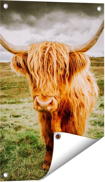 Gards Tuinposter Schotse Hooglanders in de Wei - Kleur - 40x60 cm - Tuindoek - Tuindecoratie - Wanddecoratie buiten - Tuinschilderij