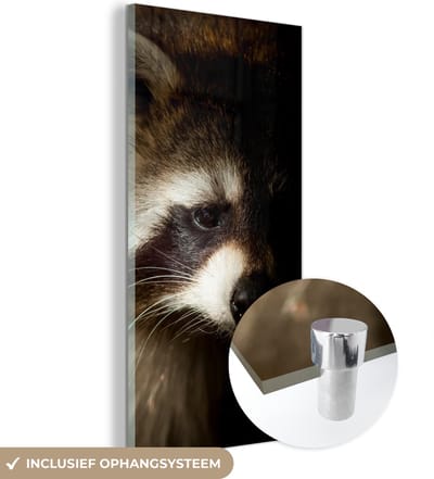 MuchoWow® Glasschilderij 20x40 cm - Schilderij acrylglas - Wasbeer - Wilde dieren - Zwart - Foto op glas - Schilderijen