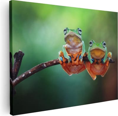 Artaza Canvas Schilderij Dieren - 40x30 cm - Klein - Wanddecoratie Kikker - Muurdecoratie Jungle - Kamer Accessoires