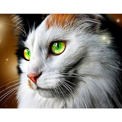 Diamant borduurwerk kat kant & groene ogen volledige ronde diamant schilderij kruissteek winter handwerk 20X30CM gray
