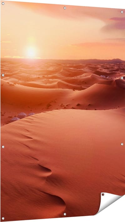 Gards Tuinposter Woestijn in de Sahara bij Zonsondergang - 100x150 cm - Tuindoek - Tuindecoratie - Wanddecoratie buiten - Tuinschilderij