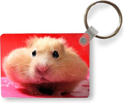 Sleutelhanger - Close-up hamster - Uitdeelcadeautjes - Plastic