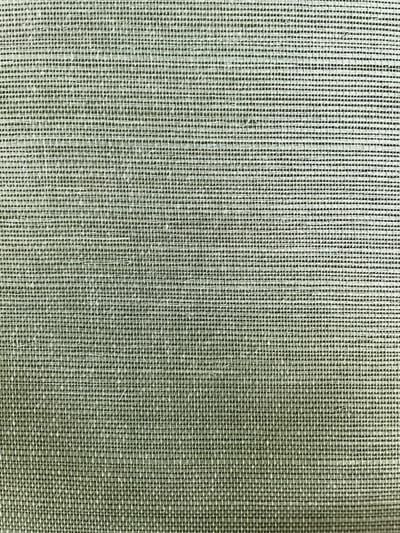 Sisal viridiaan