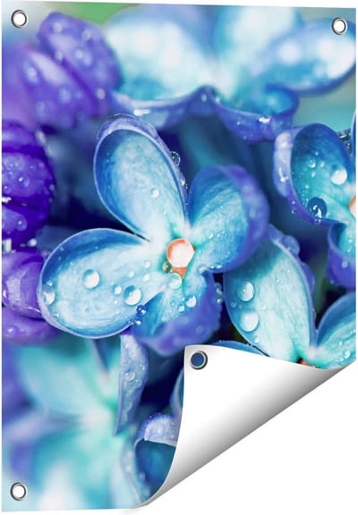 Gards Tuinposter Blauwe Lila Bloemen - Seringen - 40x50 cm - Tuindoek - Tuindecoratie - Wanddecoratie buiten - Tuinschilderij