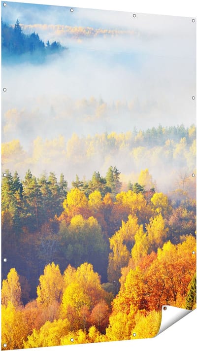 Gards Tuinposter Gekleurde Herfstbos met Mist - 120x180 cm - Tuindoek - Tuindecoratie - Wanddecoratie buiten - Tuinschilderij