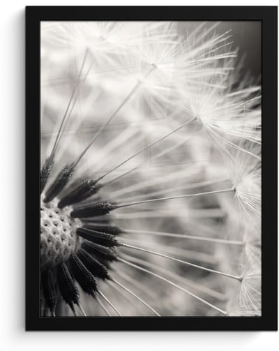 Poster in lijst - Fotolijst 30x40 cm - Posters - Paardenbloem - Zwart - Wit - Posterlijst zwart - Decoratie - Wanddecoratie woonkamer - Muurdecoratie slaapkamer