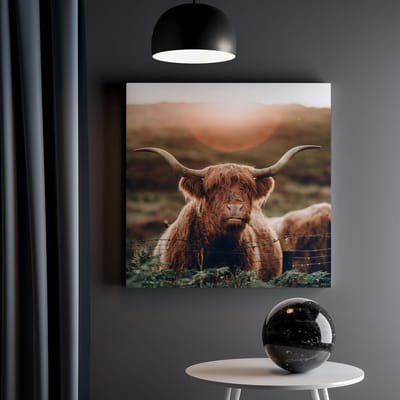 Artaza Canvas Schilderij Hooglander - 30x30 cm - Klein - Muurdecoratie Dierenkop - Wanddecoratie Woonkamer - Schilderijen Op Canvas