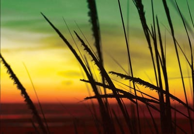 Fotobehang Beach Sunset | XL - 208cm x 146cm | 130g/m2 Vlies
