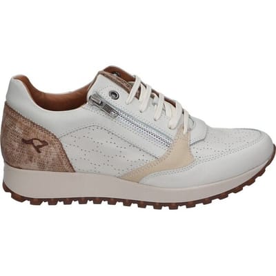 Lage Sneakers Kangaroos 112293