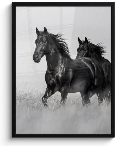 Poster in lijst - Fotolijst 60x80 cm - Posters - Paarden - Gras - Zwart - Wit - Posterlijst zwart - Decoratie - Wanddecoratie woonkamer - Muurdecoratie slaapkamer