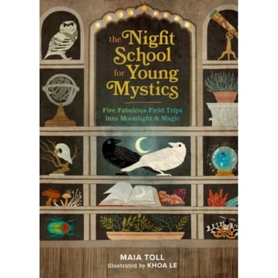 The Night School For Young Mystics - Toll, Maia