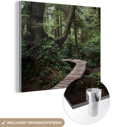 MuchoWow® Glasschilderij 50x50 cm - Schilderij acrylglas - Houten brug in de bemoste bossen van het regenwoud in Costa Rica - Foto op glas - Schilderijen