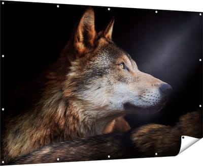 Gards Tuinposter Wolvenkop met een Zonnestraal - Wolf - 180x120 cm - Tuindoek - Tuindecoratie - Wanddecoratie buiten - Tuinschilderij