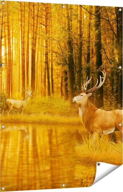 Gards Tuinposter Twee Herten in het Bos bij het Water - 90x120 cm - Tuindoek - Tuindecoratie - Wanddecoratie buiten - Tuinschilderij