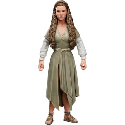 Hasbro Star Wars Actiefiguur Princess Leia (Ewok Village) 15 cm Episode VI Black Series 2022 Multicolours