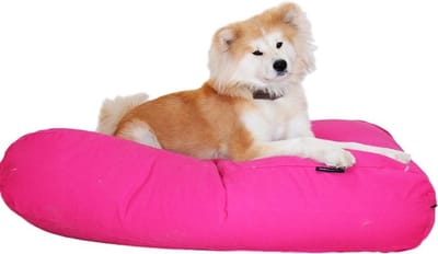 Dog's Companion Hondenkussen / Hondenbed - XS - 55 x 45 cm - Roze Canvas/Katoen