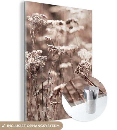 MuchoWow® Glasschilderij 120x160 cm - Schilderij acrylglas - Planten - Bloemen - Winter - Sneeuw - Sepia - Foto op glas - Schilderijen