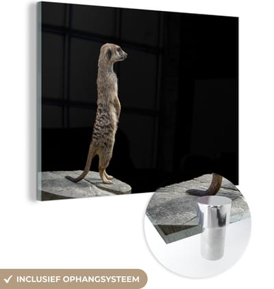 MuchoWow® Glasschilderij 160x120 cm - Schilderij acrylglas - Stokstaartje - Wilde dieren - Zwart - Foto op glas - Schilderijen