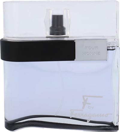 Salvatore Ferragamo F Black Pour Homme - Eau de Toilette voor heren - 100ML