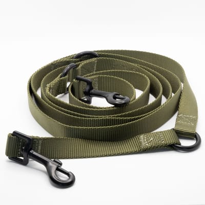 Nylon handsfree riem groen - 240 cm x 2,5 cm - honden riem - handsfree riem hond - verstelbaar - gepersonaliseerd - hondenriemen - halsband - hond - hondenhalsband met naam - halsbanden, riemen & tuigen - Trimmi