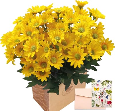 6 Bunches Kunstmatige Margrieten Bloemen, 21 Hoofden Realistische Gerbera Boeket met Groetkaart en Bruine Papieren Zak voor Thuis en Kantoor Decoratie Geschenk (Wit/Roze/Geel)