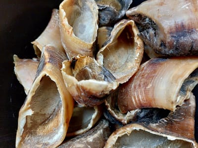 XXL Kalfshoeven - Runderhoeven - Hondensnack - 1kg