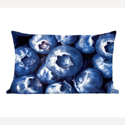 Sierkussens - Kussentjes Woonkamer - 50x30 cm - Bessen - Blauw - Fruit
