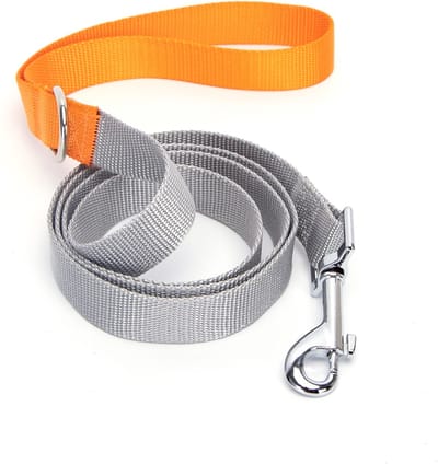 Nobleza Honden leiband - Puppy riem - Polyester - Lengte 120 cm - Hondenriem - Riem hond - Fluorescerend - Grijs / Blauw