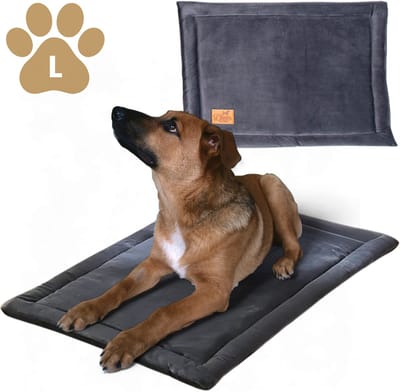 Dogs&Co® Premium Velvet Hondenmat L - 90x55 cm - Benchkussen - Hondenmand - Honden deken - Hondenmand - Plaid - Honden