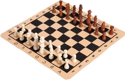 Schaakspel - Schaakbord set - Denkvaardigheden trainen - Opvouwbaar met opbergvakken - 40.5 x 40.5 cm - Beige en bruin