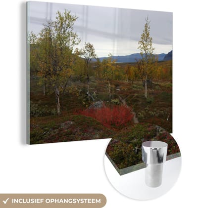 ® Glasschilderij 160x120 cm - Schilderij acrylglas - Het herfstlandschap van het Nationaal park Padjelanta in Zweden - Foto op glas - Muurdecoratie woonkamer - Wanddecoratie slaapkamer - Schilderijen