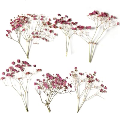 Gedroogde Bloemen - Natuurlijke Decoratie - Handgemaakte Creaties - Geurloos Milieuvriendelijk - 15 cm Stelen - Roze
