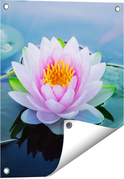 Gards Tuinposter Roze Lotusbloem met Waterlelies - 40x50 cm - Tuindoek - Tuindecoratie - Wanddecoratie buiten - Tuinschilderij